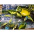 Картина маслом "Сочные Лимоны" холст лен 80*60см от Анны Журило