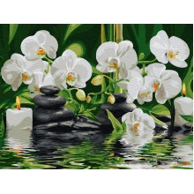 Картина по номерам - Спокойствие орхидей GX29693, цветы
