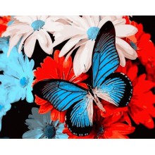 Картины по номерам - Бабочка на цветочках GX29329, цветы