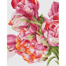 Картины по номерам - Своенравные пионы худ. Диана Тучс (КНО2081), цветы