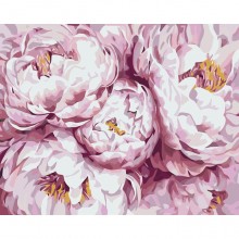 Картины по номерам - Королевские пионы худ. Диана Тучс (КНО3013) , цветы