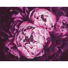 Картина по номерам Идейка Буйство красок 40 x 50 см (КНО2076), цветы