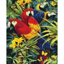 Картины по номерам - Разноцветные попугаи (КНО4028) , птицы