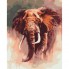 Картина по номерам - Царское достоинство (КНО4076)   , слон