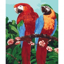 Картины по номерам - Королевские попугаи (КНО4051) , птицы