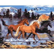 Картины по номерам - Табун (КНО4027), лошади