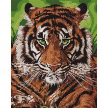 Картины по номерам - Непобедимый тигр (КНО4143), тигр