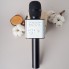 Беспроводной караоке микрофон Tofu Q9 Black