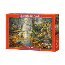 Пазл Castorland 2000 элементов "Воспоминание об весеннем лесу" природа 92*68 см С-200757