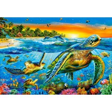Пазл Castorland 1000 элементов "Морские черепахи" 68*47 см С-103652