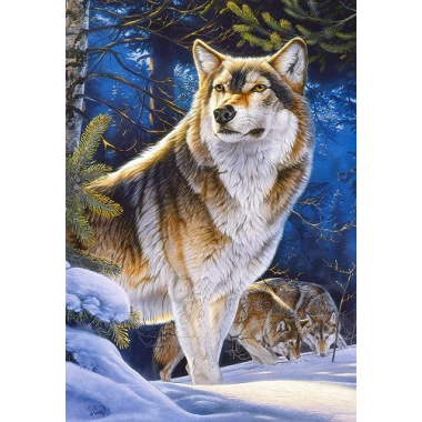Пазл Castorland 1000 элементов "Волк" животные  68*47 см с-104062