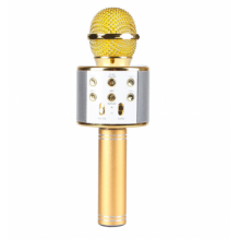 Беспроводной портативный микрофон для караоке Wster WS858 Gold