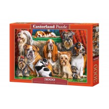 Пазл Castorland 3000 элементов "Собаки" 92*68 см (C-300501)