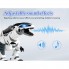 Игрушка Робот Динозавр интерактивный на радиоуправлении К9 (5474)